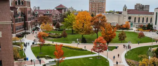 University flowers